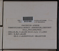 Craterium aureum (d2) image